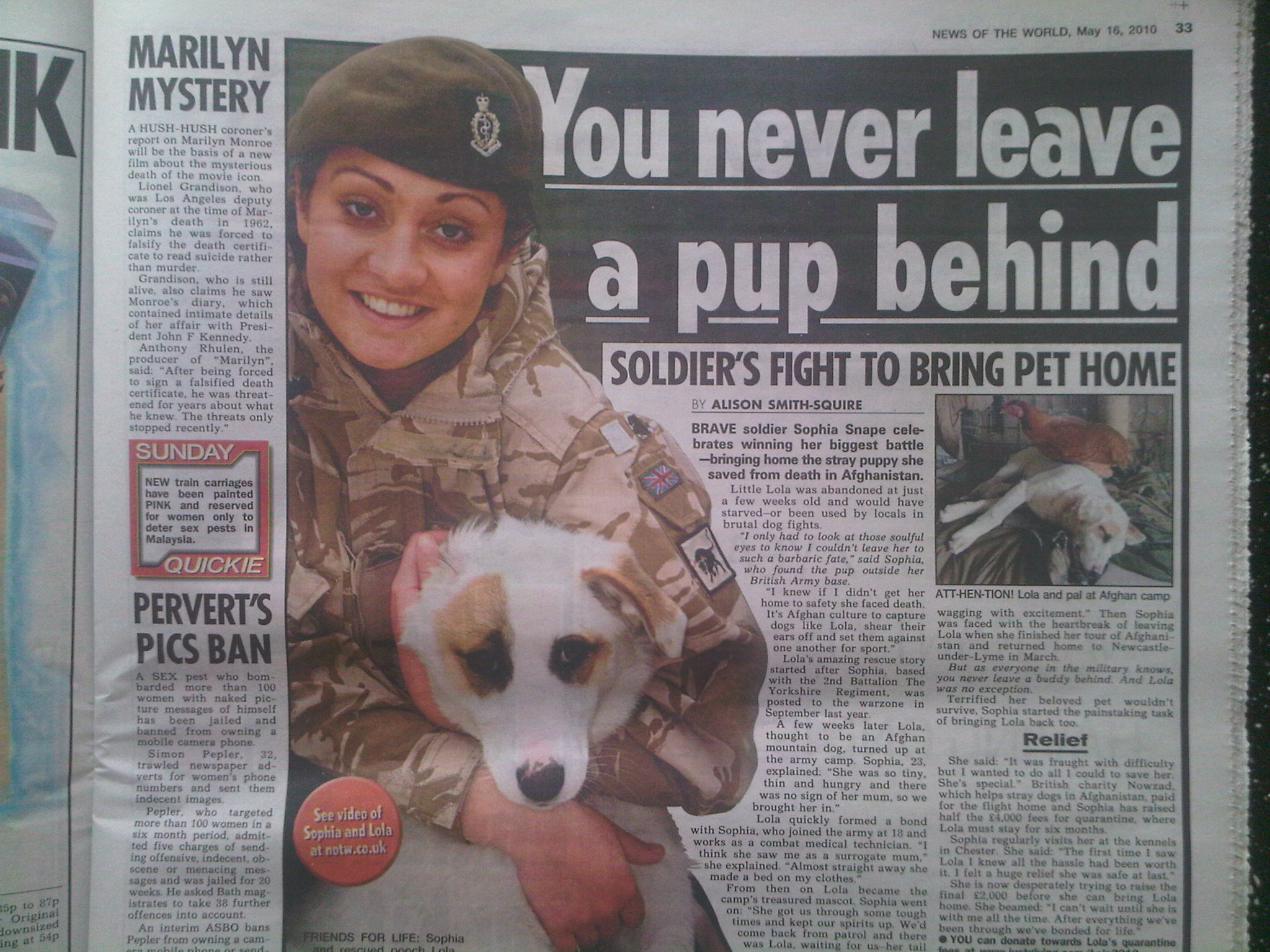 Soldier's fight to bring pup home - sold to News of the World
